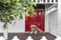 Property photo of 19 Coronet Street Flemington VIC 3031