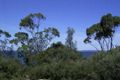 Property photo of 12/10 Monarch Place Callala Bay NSW 2540