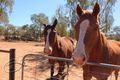 Property photo of 3584 Ilparpa Road Alice Springs NT 0870