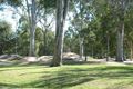 Property photo of 36 David Street Thorneside QLD 4158