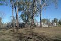 Property photo of 234 Taunton Road Euleilah QLD 4674