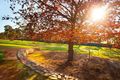 Property photo of 5 Silhouette Street Mount Barker SA 5251
