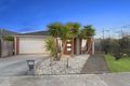 Property photo of 37 Basilica Vista Mernda VIC 3754