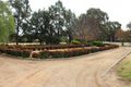 Property photo of 202 River Road Forbes NSW 2871
