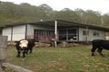 Property photo of LOT 2 Ridge Road Knapp Creek QLD 4285