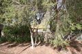 Property photo of 3/10 Hindmarsh Avenue West Hindmarsh SA 5007