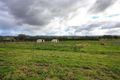 Property photo of 529 Mitchell Road Gregadoo NSW 2650