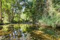 Property photo of 518 Obi Obi Road Obi Obi QLD 4574