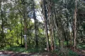 Property photo of 15 Hawthornden Drive Russell Island QLD 4184