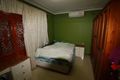 Property photo of 115 River Avenue Villawood NSW 2163