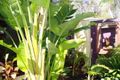 Property photo of 18 Cabarita Way North Yunderup WA 6208