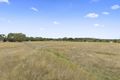 Property photo of 1219 Stumpy Gully Road Moorooduc VIC 3933