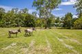 Property photo of 77-83 Fleetwood Road Belli Park QLD 4562