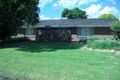 Property photo of 42 Gossamer Street Leeton NSW 2705