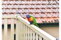 Property photo of 10 Somerset Street Epping NSW 2121