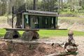 Property photo of 59 Kamala Drive Pullenvale QLD 4069