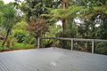 Property photo of 52 Macdonnell Road Tamborine Mountain QLD 4272