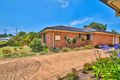 Property photo of 81 McLachlan Avenue Shelly Beach NSW 2261