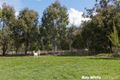 Property photo of 5 Wattle Glen Murrumbateman NSW 2582