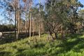 Property photo of 89-101 Lenihans Road Electra QLD 4670