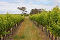 Property photo of 47 Cob Road Brabham WA 6055
