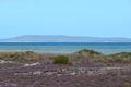 Property photo of 2 Esplanade Coffin Bay SA 5607