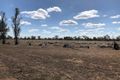 Property photo of 55 Baradine Creek Road Gwabegar NSW 2356