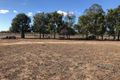 Property photo of 55 Baradine Creek Road Gwabegar NSW 2356