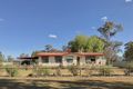 Property photo of 57 Troy Street Stockinbingal NSW 2725