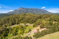 Property photo of 4004 Kyogle Road Mount Burrell NSW 2484
