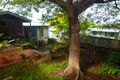 Property photo of 14 Louisa Street Highgate Hill QLD 4101