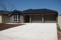 Property photo of 5 Pellew Street Windsor Gardens SA 5087