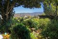 Property photo of 41 Kunghur Street Wiangaree NSW 2474
