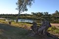 Property photo of 71 Capper Street Gayndah QLD 4625