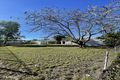 Property photo of 2 Armstrong Crescent Dysart QLD 4745