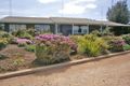 Property photo of 42 Lawrie Terrace Waikerie SA 5330