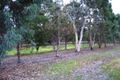 Property photo of 13 Albury Court Boyanup WA 6237