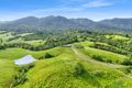 Property photo of 527 Donkin Road Utchee Creek QLD 4871