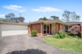 Property photo of 4/16 Myrtle Street Ivanhoe VIC 3079