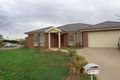 Property photo of 1 Curtin Place Shepparton VIC 3630