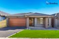 Property photo of 22 Fitzpatrick Circuit Kalkallo VIC 3064