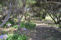 Property photo of 85 Seventh Avenue Anglesea VIC 3230