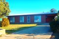 Property photo of 2/7 Norris Court Deniliquin NSW 2710