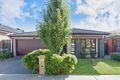 Property photo of 8 Destiny View Mernda VIC 3754