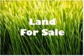 Property photo of 26 Limetta Grove Landsdale WA 6065