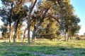 Property photo of 3473 Bindoon-Moora Road Mogumber WA 6506