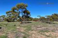 Property photo of 375 Bonniefield Road East Bonniefield WA 6525