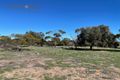 Property photo of 375 Bonniefield Road East Bonniefield WA 6525