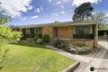 Property photo of 6 Lutwyche Street Higgins ACT 2615