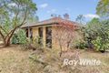Property photo of 349 Banyule Road Viewbank VIC 3084